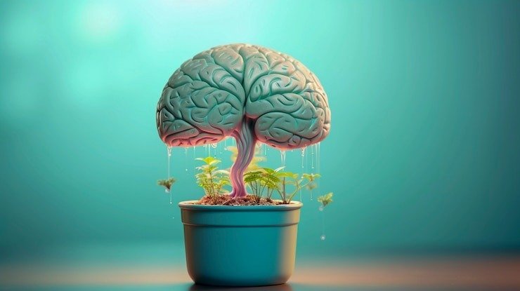 Unlocking Your Future: How a Stellar CV Can Boost Your Pay